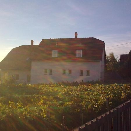 Berkes Vendeghaz Bed & Breakfast Badacsonytordemic Exterior photo