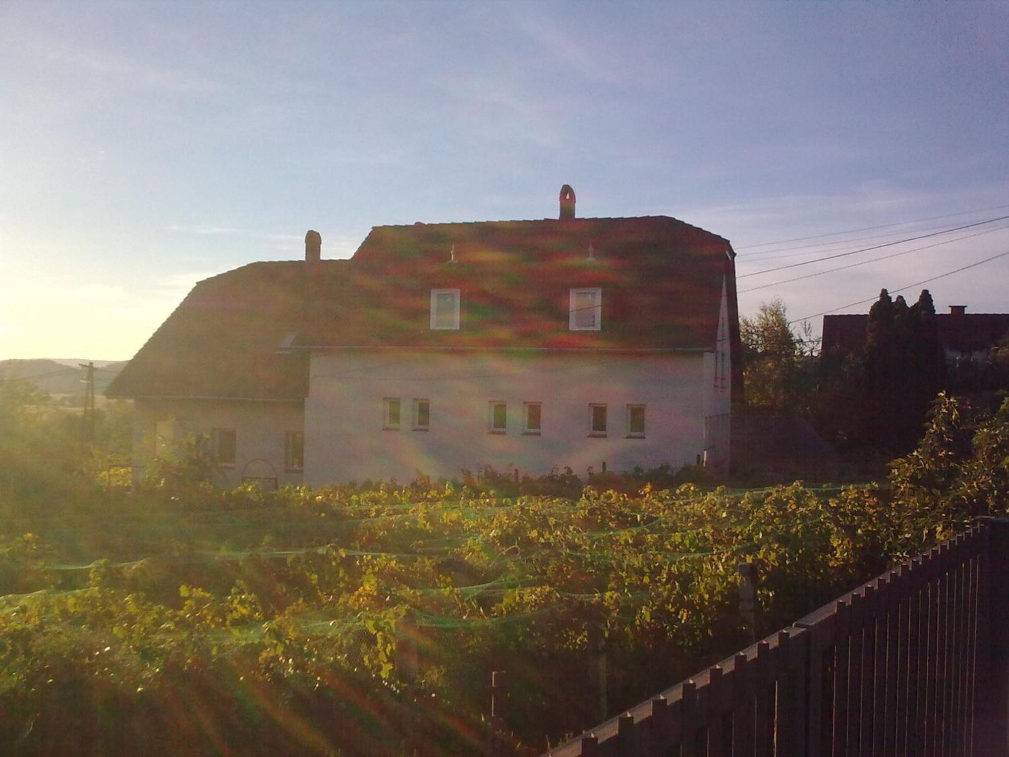 Berkes Vendeghaz Bed & Breakfast Badacsonytordemic Exterior photo